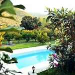 Pir Efes Konaklari Hotel *