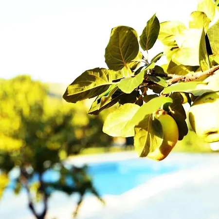 Pir Efes Konaklari * Izmir