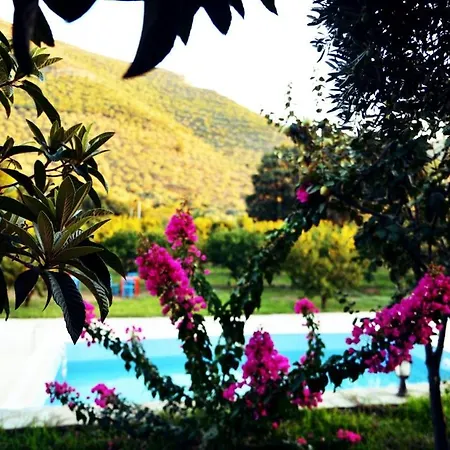 Pir Efes Konaklari إزمير