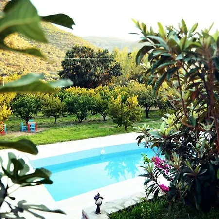 Pir Efes Konaklari فندق *