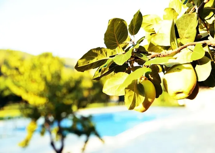 Pir Efes Konaklari * İzmir