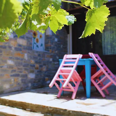 Pir Efes Konaklari Hotel *