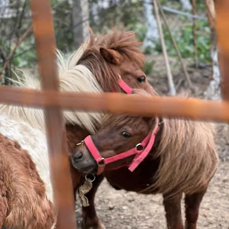 Hotel Pir Efes Konaklari