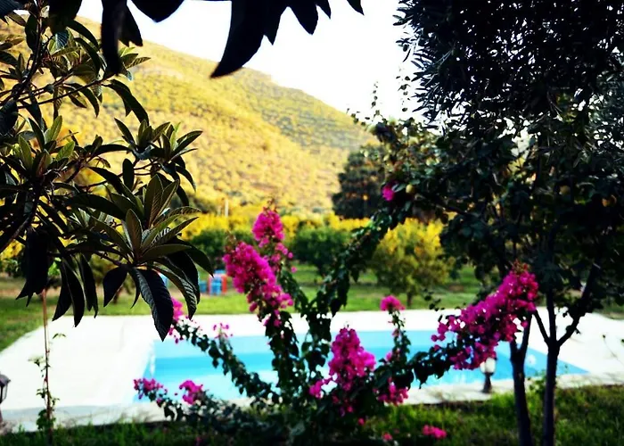 Pir Efes Konaklari İzmir