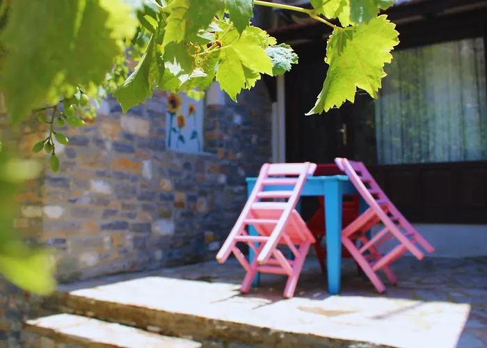 Pir Efes Konaklari Hotel *