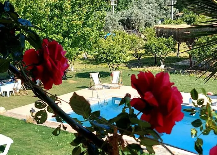 Pir Efes Konaklari فندق إزمير