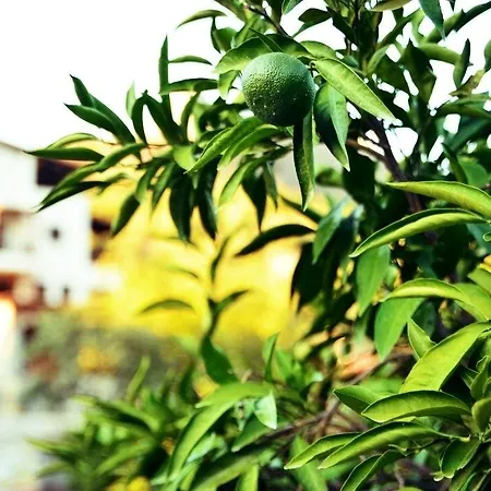 מלון Pir Efes Konaklari *